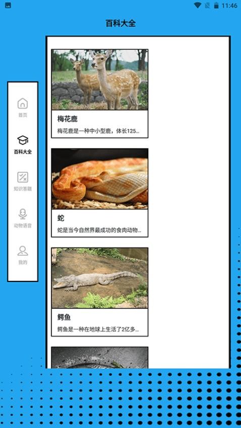 动物大联盟世界app