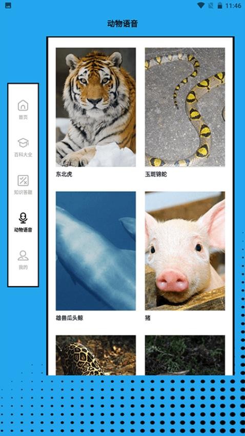 动物大联盟世界app