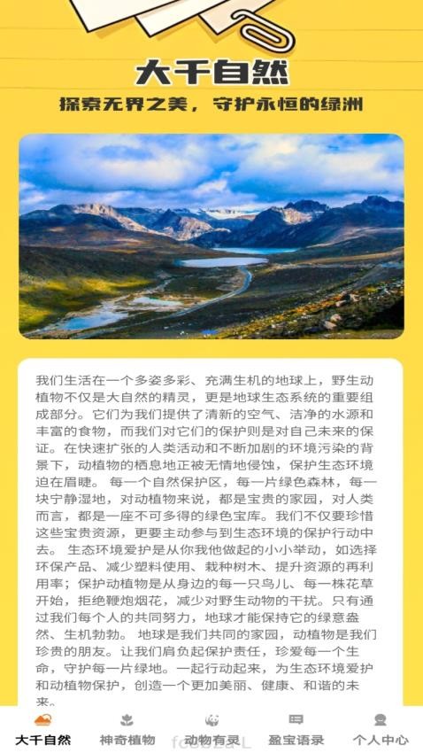 盈宝多多最新版